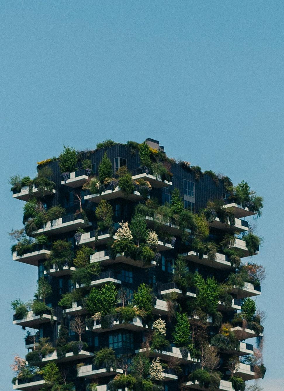 Sustainable architecture consultation