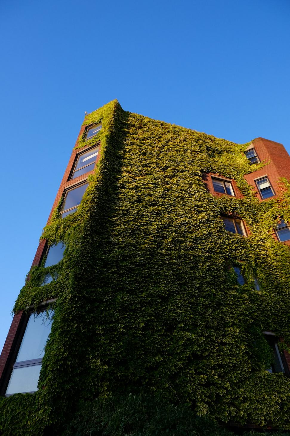 Green building certifications